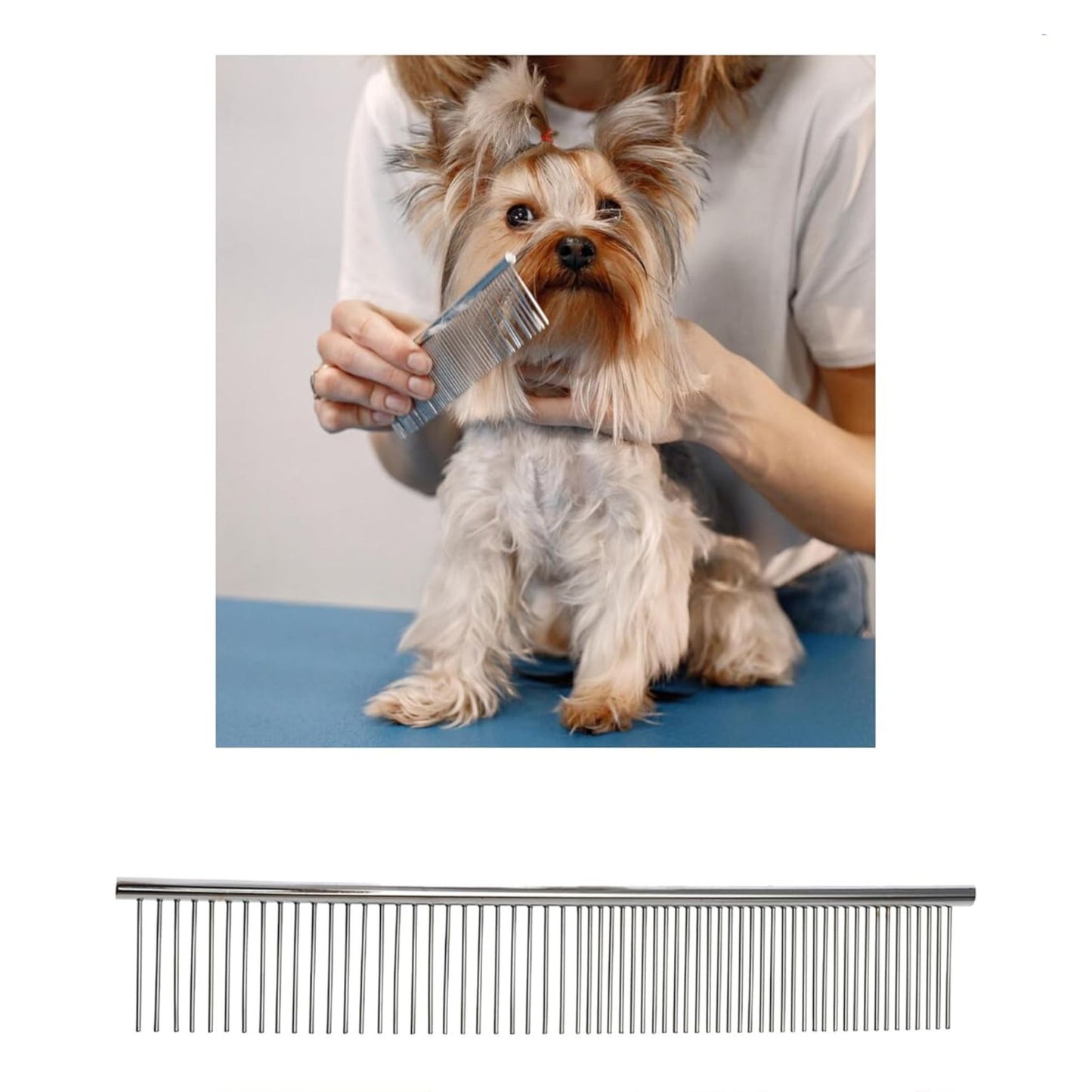 Dog Grooming Scissors – Curved & Thinning Shears