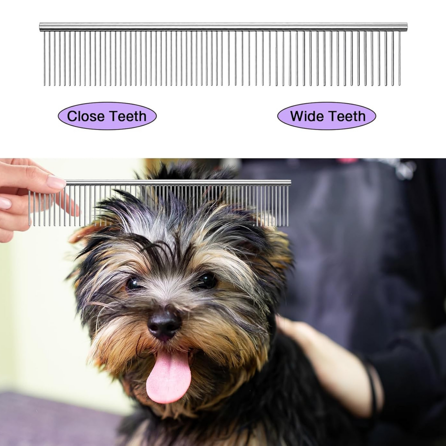 Professional Dog Grooming Scissors Kit – Safe, Sharp & Durable Shears