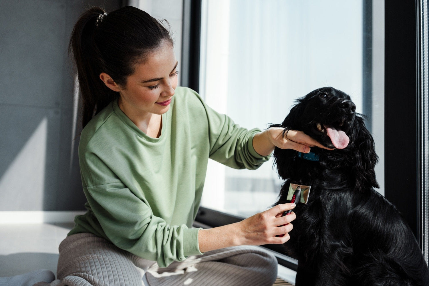 Happy dog being gently groomed at home by owner using Groomté grooming brush — safe, stress-free pet grooming for shiny, healthy coat